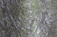 Aigburth fibreglass roof work